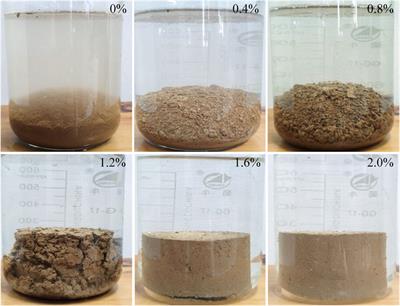 A Cross-Linked Polymer Soil Stabilizer for Hillslope Conservation on the Loess Plateau